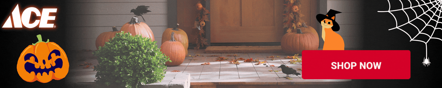 Halloween and Fall Decor