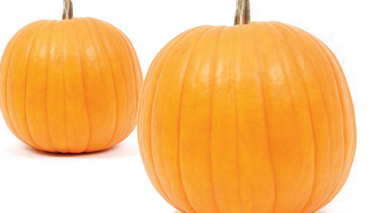Picture of Pumpkins